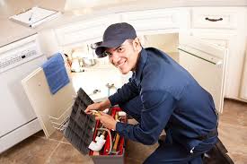 Best Gas Line Installation and Repair  in Bagley, MN